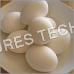Eggs Eggs