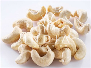 Cashew Nut Cashew Nut
