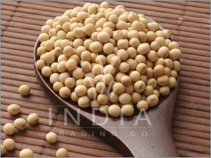Soyabean Soyabean