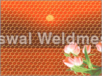 Hexagonal Wire Netting Hexagonal Wire Netting