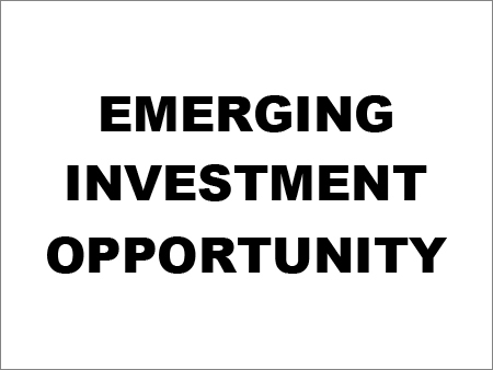 Emerging Investment Opportunity Emerging Investment Opportunity