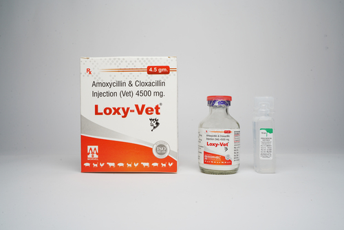 Cloxacillin Iv