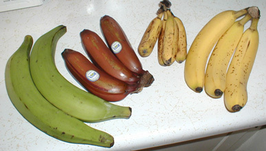 Yellow Banana Yellow Banana