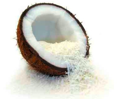 Fresh Coconut Fresh Coconut