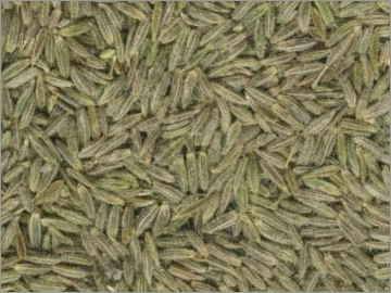Cumin Seeds Cumin Seeds