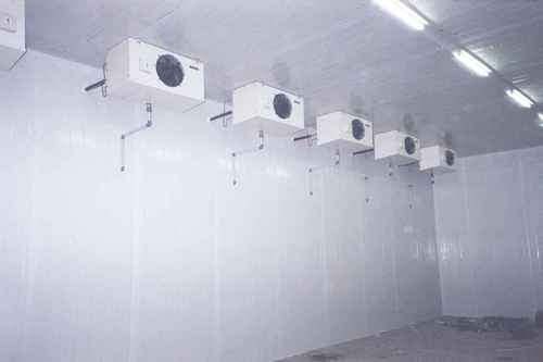 Walk In Chiller Walk In Chiller