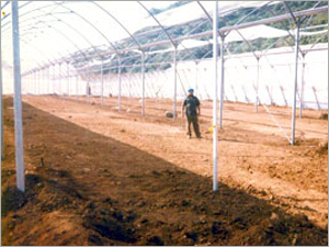 Geo Construction Shed Net Geo Construction Shed Net