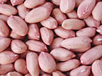 Java Peanuts Java Peanuts