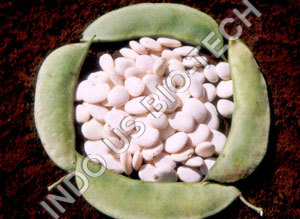 Val Sowing Seeds Val Sowing Seeds