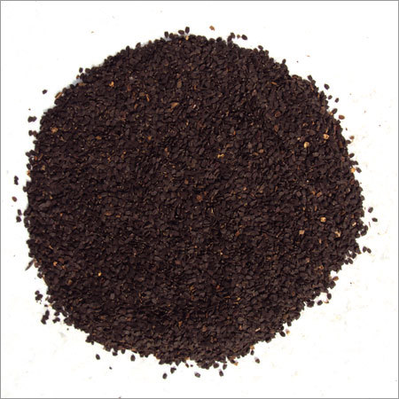 Ocimum Basilicum Ocimum Basilicum
