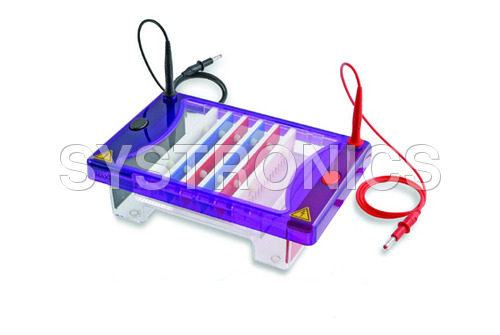 Electrophoresis Electrophoresis
