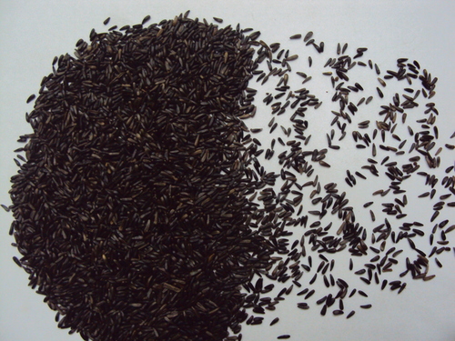 Niger Seeds Niger Seeds