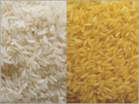 Rice Rice