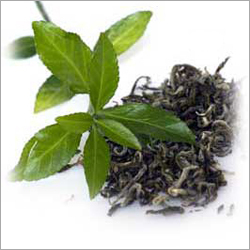 Green Tea Green Tea
