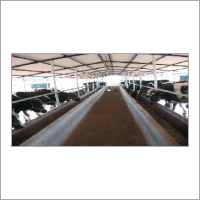 Our Cattle Farm Our Cattle Farm