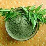 Dehydrated Curry Leaves Powder Dehydrated Curry Leaves Powder