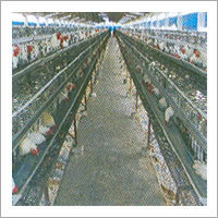 Poultry Cages Poultry Cages