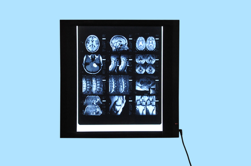 Single Film Illuminator with Fixed Brightness Single Film Illuminator with Fixed Brightness