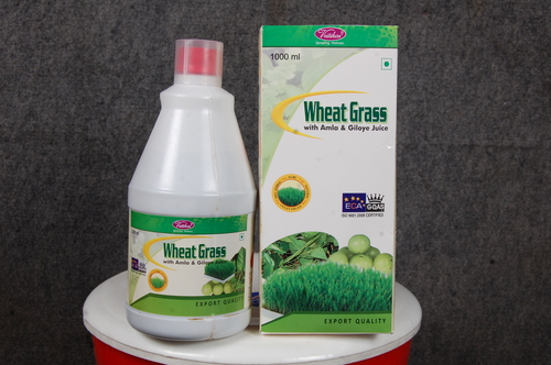 Wheat Grass Wheat Grass