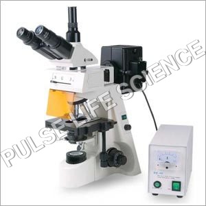 Epi Fluorescent Microscope Epi Fluorescent Microscope