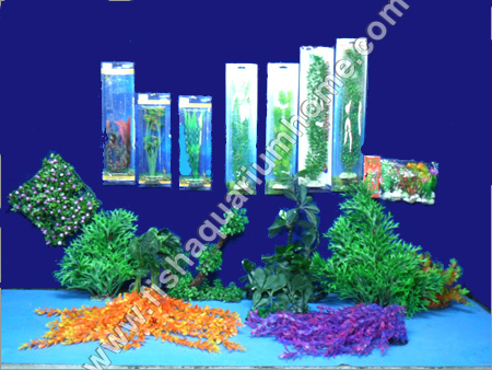 Aquarium Plants Aquarium Plants