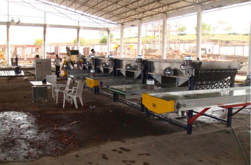 Onion Grader Onion Grader