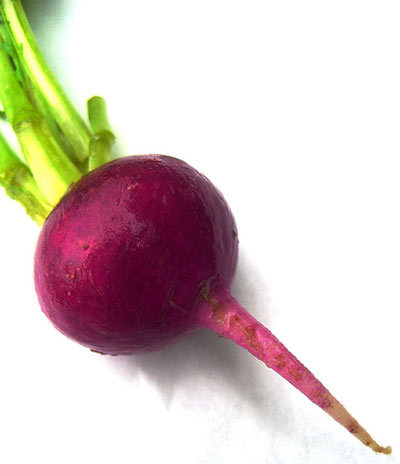 Fresh Beetroot Fresh Beetroot