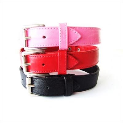 Dog Collar Dog Collar