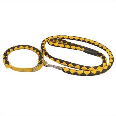 Dog Lead Dog Lead