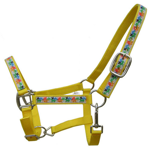 Fashion Horse Halter Fashion Horse Halter
