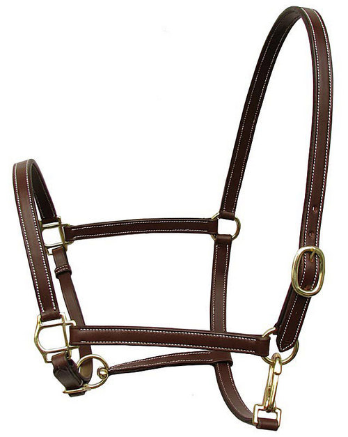 Designer Leather Halter Designer Leather Halter
