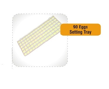 Egg Setting Tray Egg Setting Tray