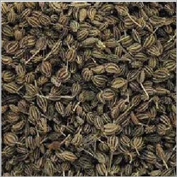 Aniseeds (Ajmo) Aniseeds (Ajmo)