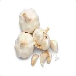 Garlic (Lasan) Garlic (Lasan)