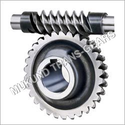 Worm Gear Worm Gear