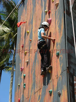 Rock Climbing Wall Rock Climbing Wall