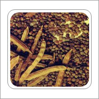 Disperse Dyes For Polyester Fabrics Disperse Dyes For Polyester Fabrics