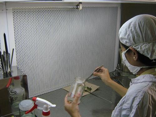 Industrial Training on Biotechnology Industrial Training on Biotechnology