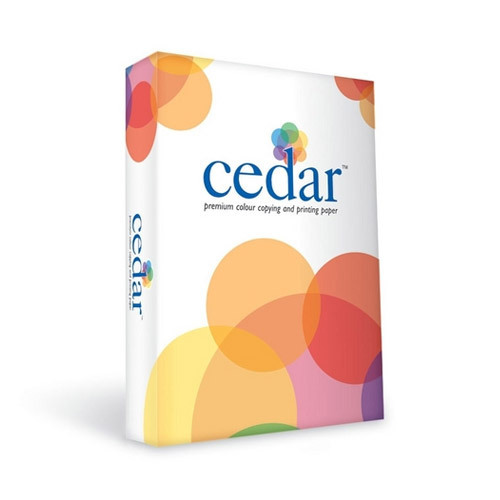 Cedar Copier Paper Cedar Copier Paper