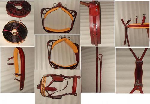 Horse Harness Horse Harness
