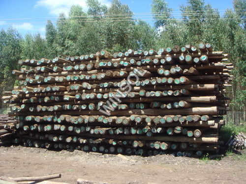 Electric Pole Treatment Plant Electric Pole Treatment Plant