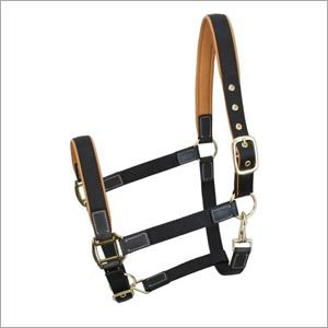 Leather Halter Leather Halter