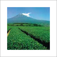 Crop Protection Chemicals Crop Protection Chemicals