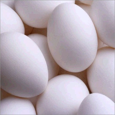 Poultry Table Eggs Poultry Table Eggs
