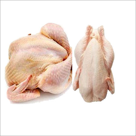 Chilled Chicken Chilled Chicken
