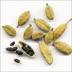 Cardamom Seed Oil Cardamom Seed Oil