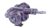 Internal Gear Pumps Internal Gear Pumps