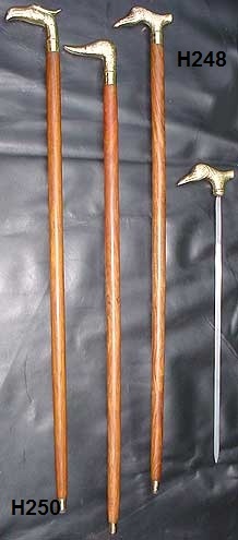 Waliking stick Waliking stick