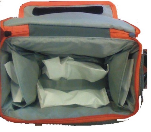 Vaccine Carry Bags Vaccine Carry Bags