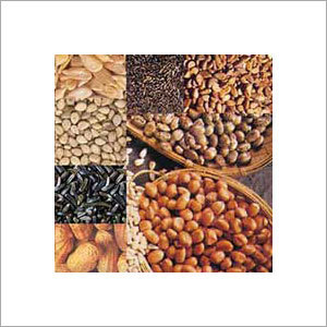 Oil Seeds Oil Seeds